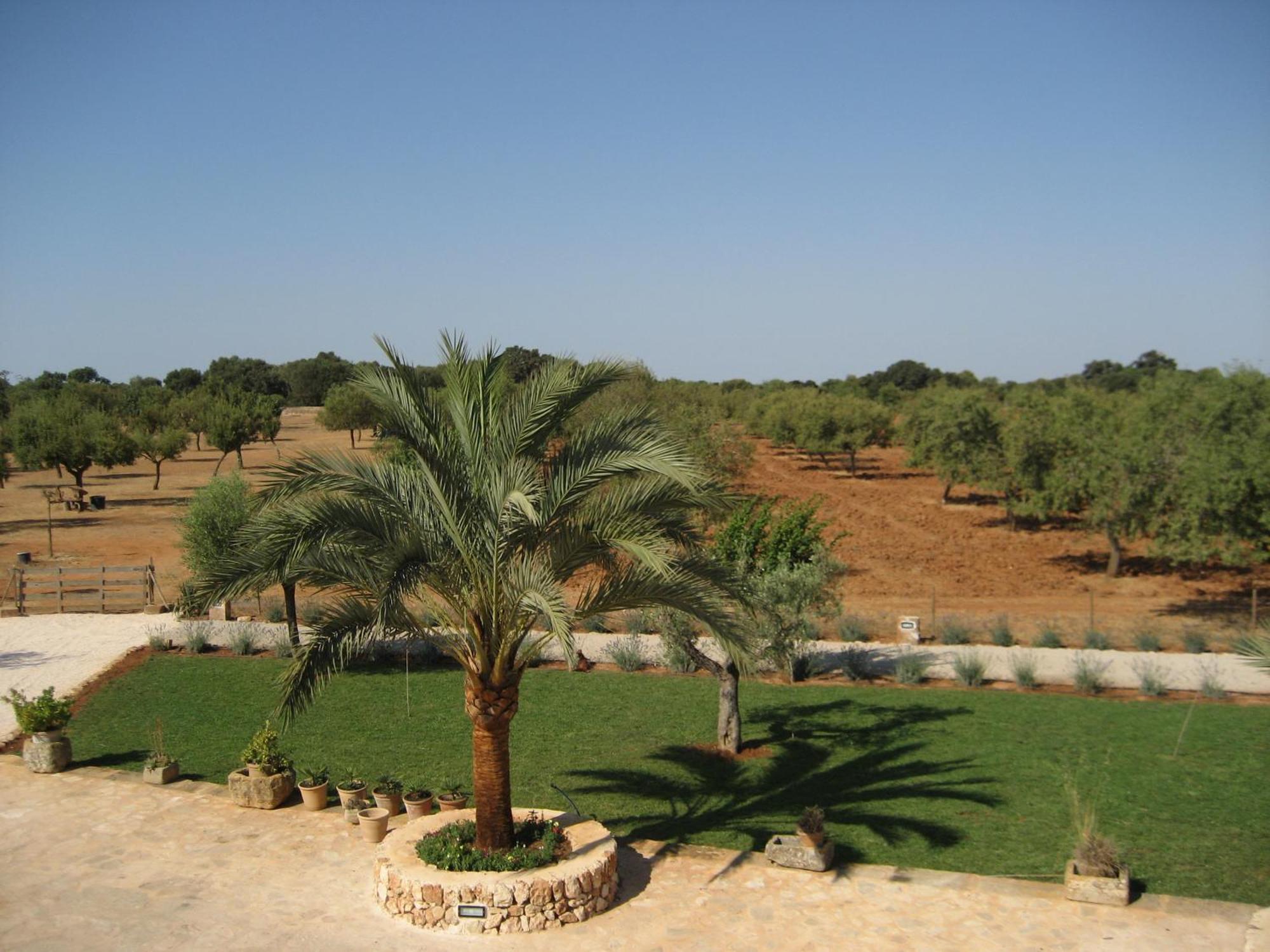 Son Capellot Villa Felanitx Buitenkant foto